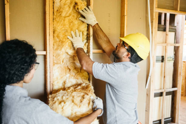 Best Insulation Removal  in Universal City, TX