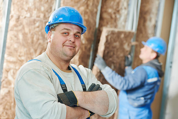 Best Insulation Inspection Services  in Universal City, TX
