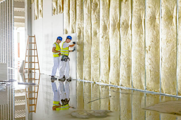 Insulation Inspection Services in Universal City, TX